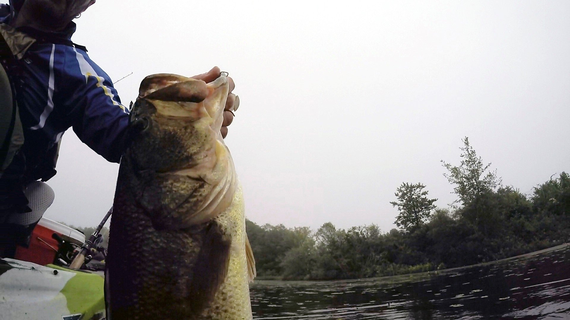 Finding and Catching Summer Bass